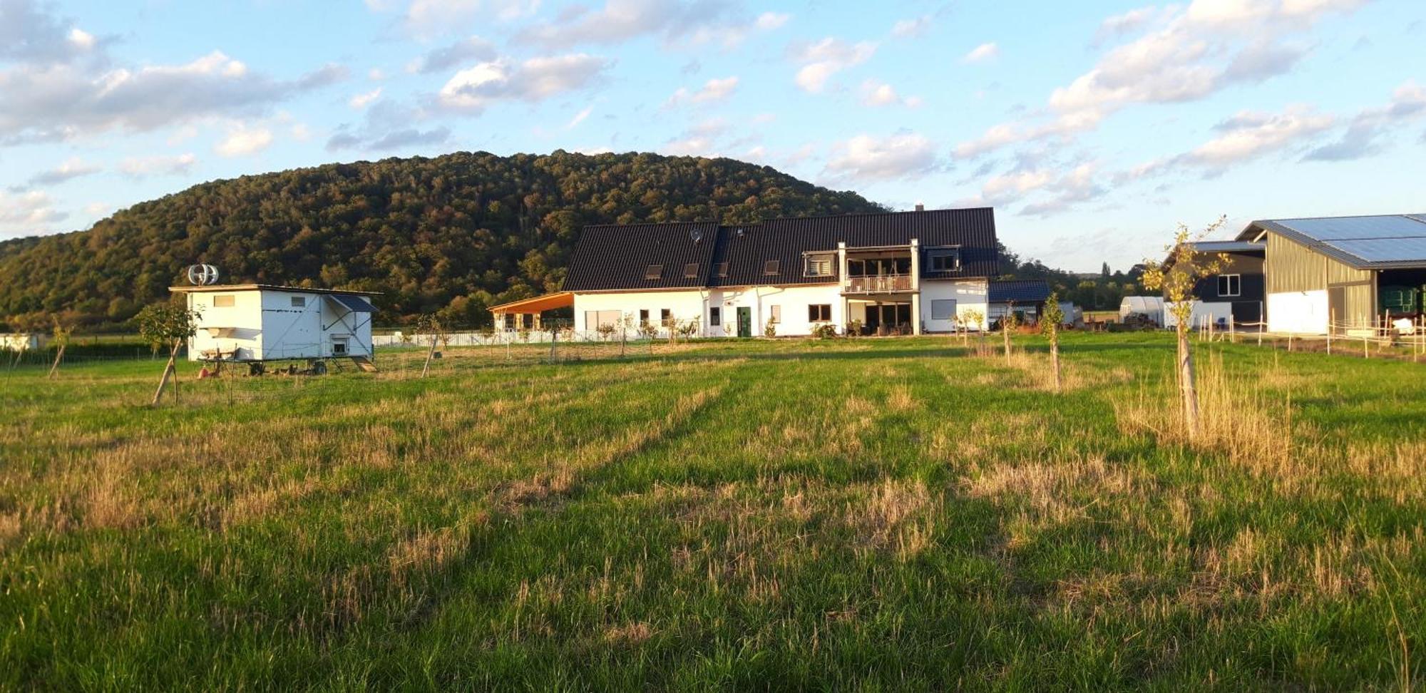 Ferienwohnung Wilhelmshof 진치히 외부 사진